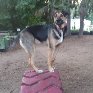 Meet your Posher, Debra